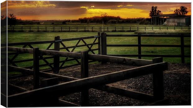 Coveney Sunset West Norfolk Canvas Print by Jacqui Farrell