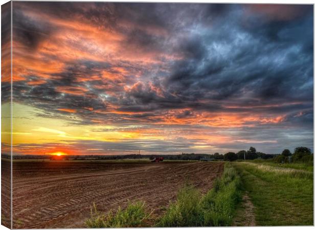 West Norfolk Sunset Canvas Print by Jacqui Farrell