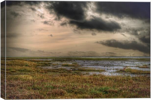 Holy Island Afternoon Canvas Print by Jacqui Farrell
