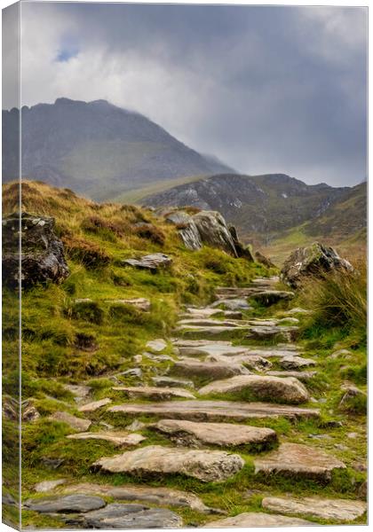 Snowdonia National Park Canvas Print by chris smith