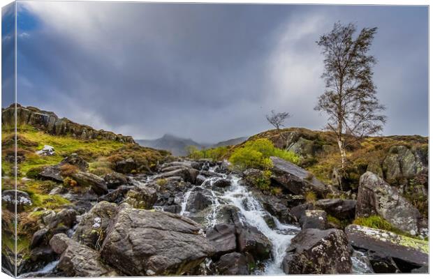 Snowdonia National Park Canvas Print by chris smith