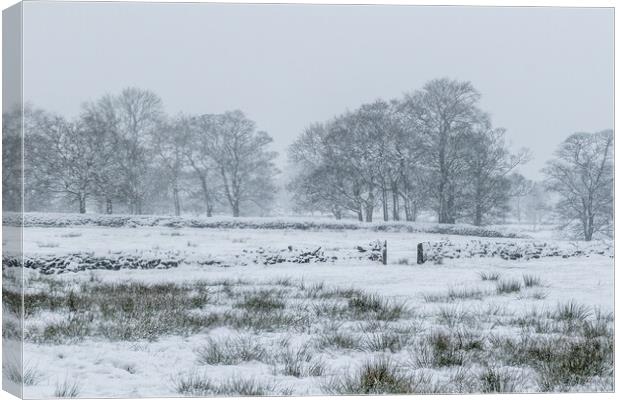 Snow covers the landscape  Canvas Print by chris smith