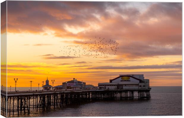 Blackpool Sunset Starling murmuration  Canvas Print by chris smith