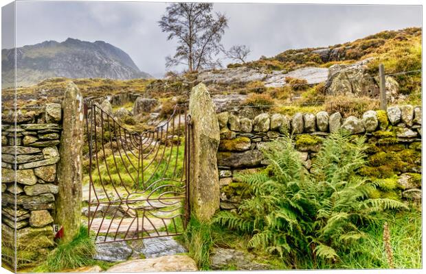 Snowdonia National Park Canvas Print by chris smith