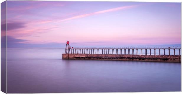 Tranquility Canvas Print by chris smith