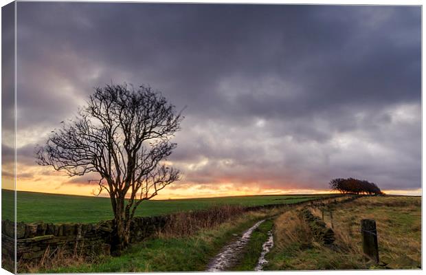Country lane  Canvas Print by chris smith