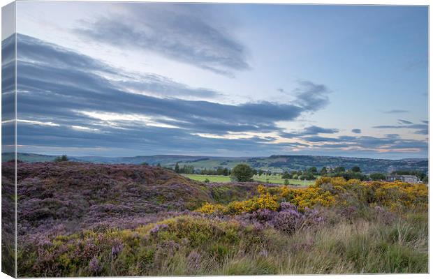 Norland View Canvas Print by chris smith