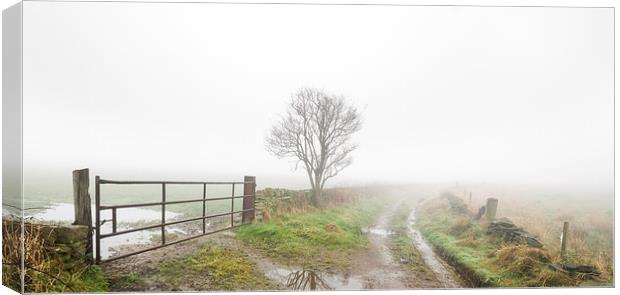 Thick fog on a country lane. Canvas Print by chris smith