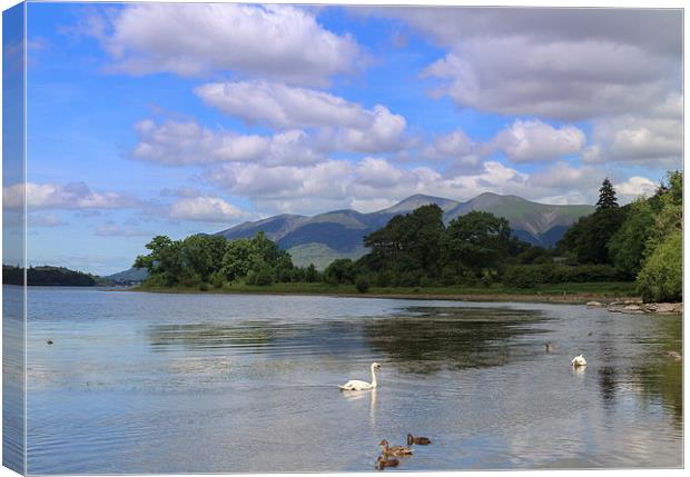 The picturesque lake District. Canvas Print by chris smith