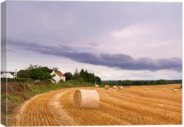 Straw bales   Canvas Print by chris smith