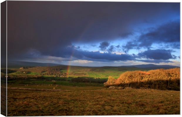 Yorkshire Dales  Canvas Print by chris smith
