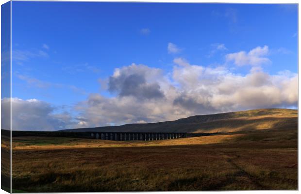 Yorkshire Dales  Canvas Print by chris smith