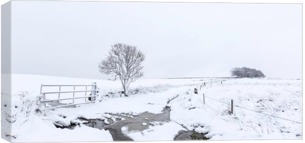 Yorkshire Snowfall  Canvas Print by chris smith