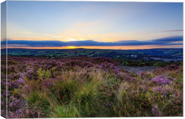 Heather sunset  Canvas Print by chris smith