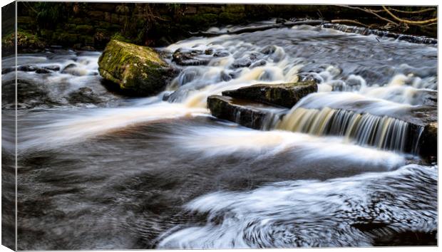 Flow    Canvas Print by chris smith