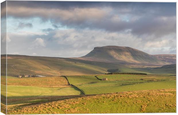 Yorkshire Dales       Canvas Print by chris smith