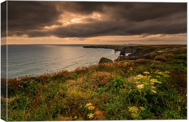 Bedruthan steps   Canvas Print by chris smith