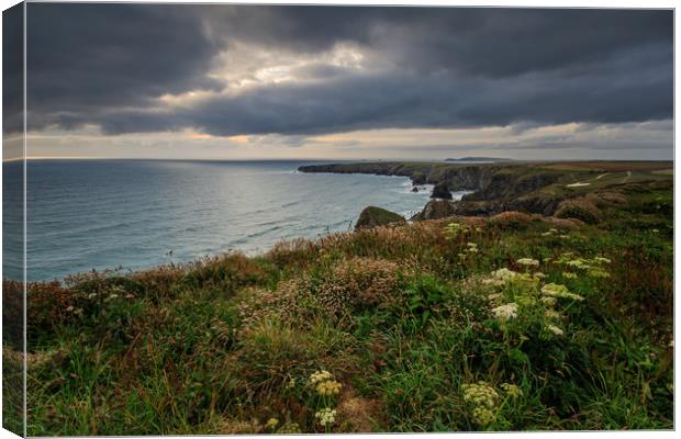 bedruthan steps        Canvas Print by chris smith