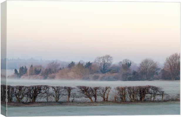 Cold and frosty morning  Canvas Print by chris smith