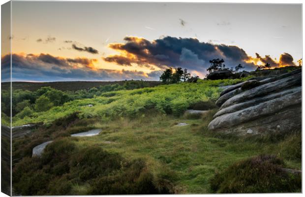 Peak District  Canvas Print by chris smith