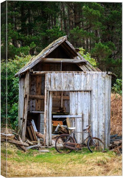 Old Shed  Canvas Print by chris smith