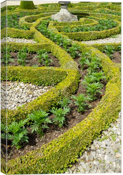 Formal gardens     Canvas Print by chris smith