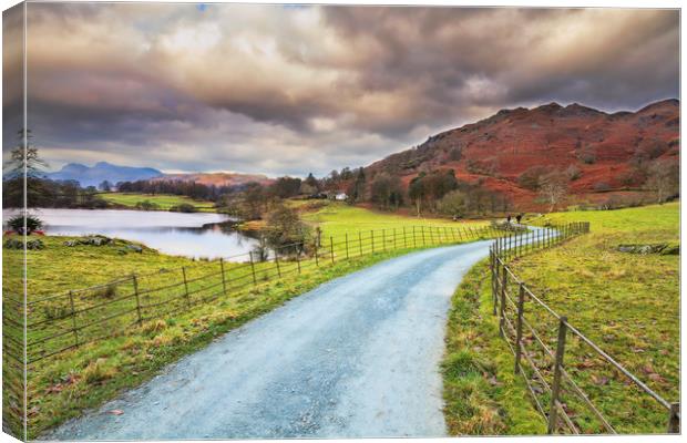 country lane in the lakes  Canvas Print by chris smith