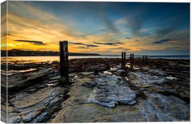 Whitley Bay  Canvas Print by chris smith