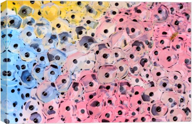 frogspawn  Canvas Print by chris smith