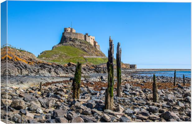 Lindisfarne castle   Canvas Print by chris smith