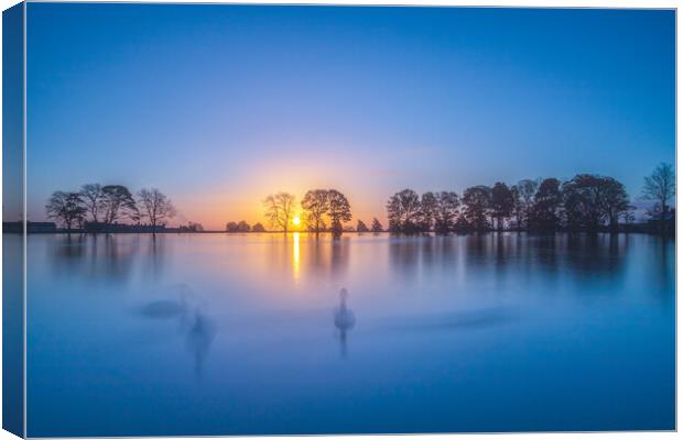 Swan Lake Canvas Print by chris smith