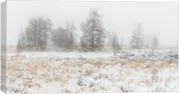 Snow covers the landscape  Canvas Print by chris smith