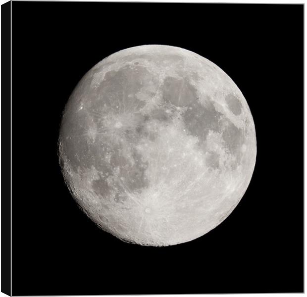 Full Moon Canvas Print by chris smith