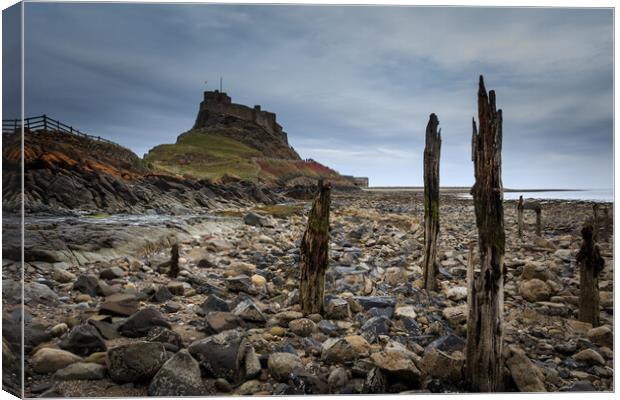 Lindisfarne Castle, holy island Canvas Print by chris smith