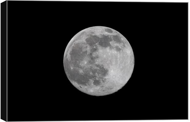 Snow moon Canvas Print by chris smith