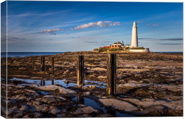 st marys lighthouse Canvas Print by chris smith