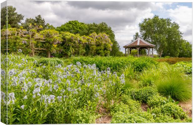 Cottage garden  Canvas Print by chris smith