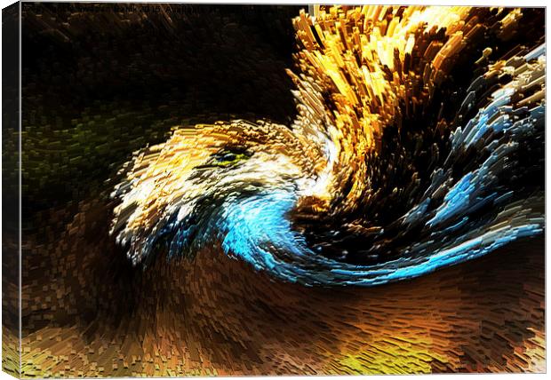 Eagle Wave Canvas Print by Swapan Banik