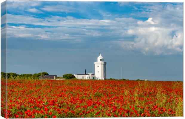 Poppies at South Foreland Canvas Print by Stewart Mckeown