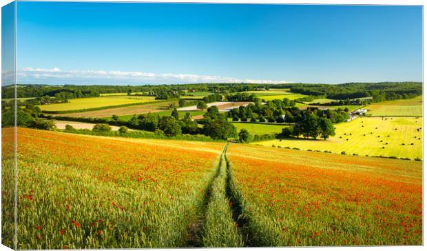 Poppies on the Kent Downs Canvas Print by Stewart Mckeown
