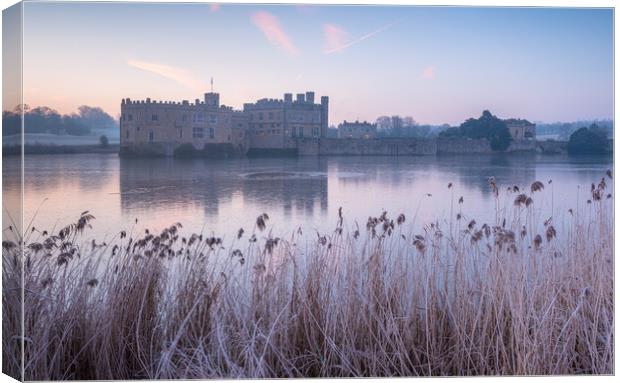 Leeds Castle in the Frost Canvas Print by Stewart Mckeown