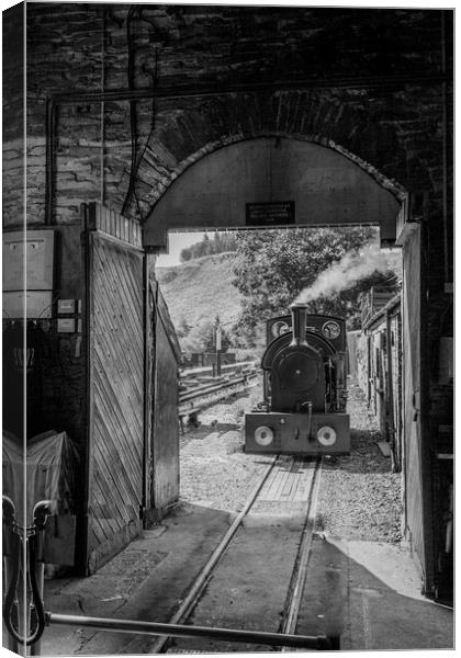 The Corris Railway, Gwynedd,Wales Canvas Print by Philip Enticknap