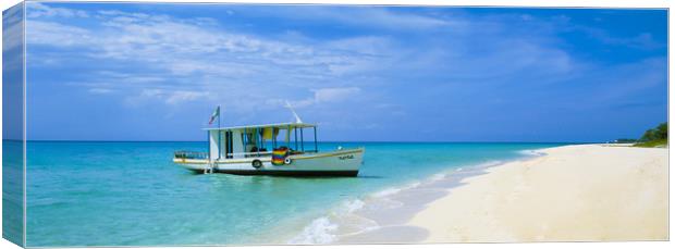 COZUMEL ISLAND,MEXICO Canvas Print by Philip Enticknap