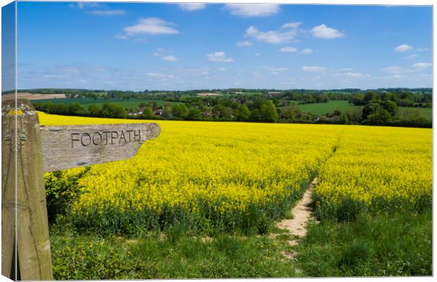 Footpath Sign to pathway through rapefield  Canvas Print by Philip Enticknap