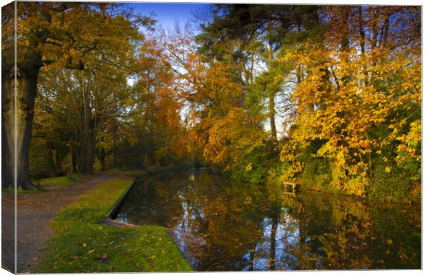 Basingstoke Canal in Autumn  Canvas Print by Philip Enticknap