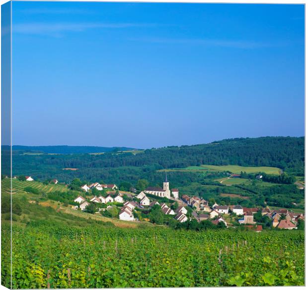 Arcenant , Burgandy, France  Canvas Print by Philip Enticknap