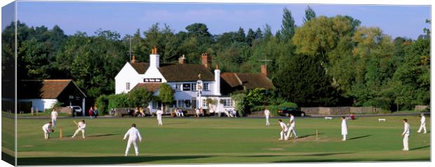 Village Cricket Match, Tilford Surrey England . Canvas Print by Philip Enticknap