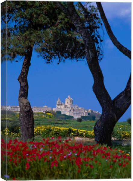 View to Mdina, Malta Canvas Print by Philip Enticknap