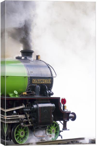 B1 Class loco 61306 Mayflower Canvas Print by Philip Enticknap