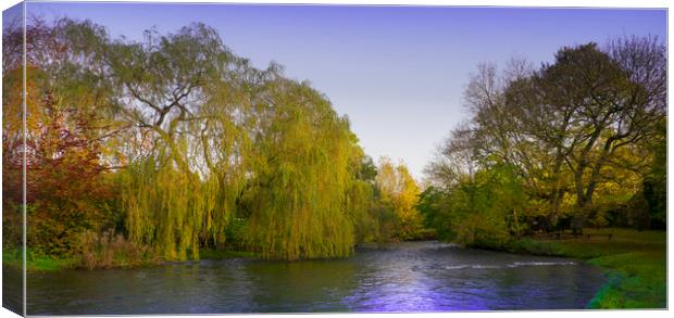  River Wye at Ashford in the Water,Derbyshire, Canvas Print by Philip Enticknap